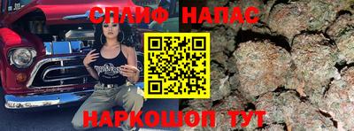 a pvp Рыбинск
