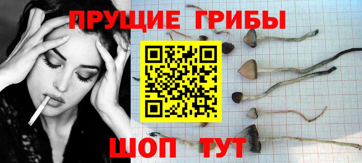 Галлюциногенные грибы прущие грибы  цена наркотик  Ртищево  Вход с VPN 
