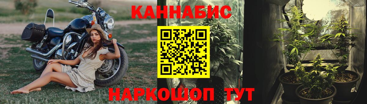 Канабис план  Бошки Шишки LSD WEED  Вход с VPN  Шишки марихуана планчик  Ртищево 